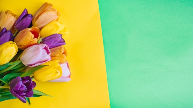 Bellissimi tulipani su uno sfondo multicolore