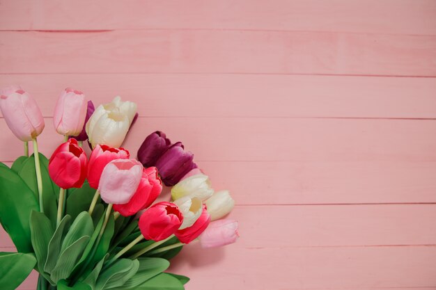 Beautiful tulips on pink background.