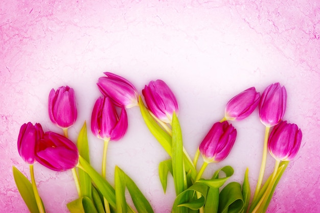 Beautiful tulips. spring nature background for web banner and card design.