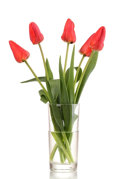 Beautiful tulips in vase isolated on white