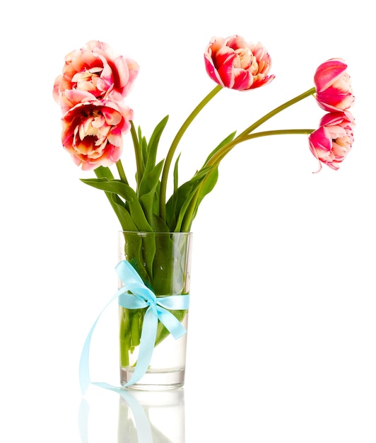 Beautiful tulips in vase isolated on white