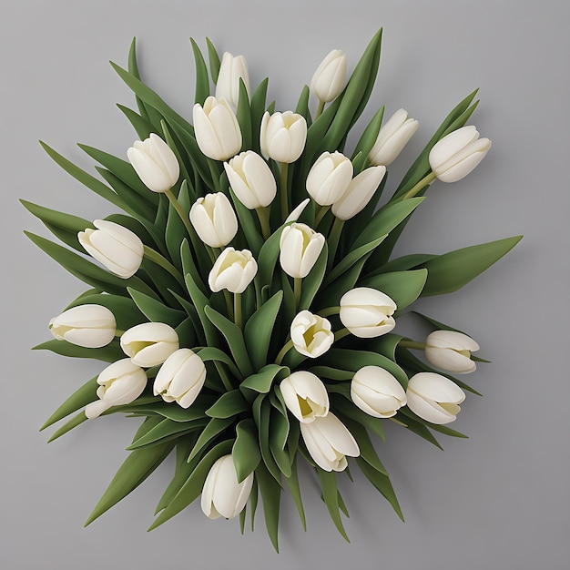 Photo beautiful tulips of white red and pink on white wooden background