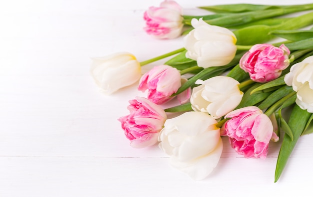 Beautiful tulips on white wooden background