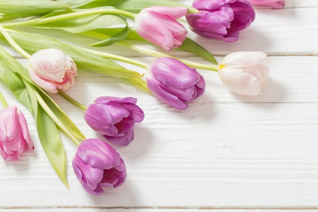 Beautiful  tulips on white wooden background