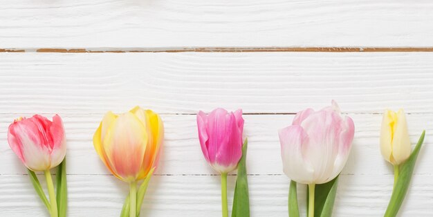 Beautiful tulips on white wooden background