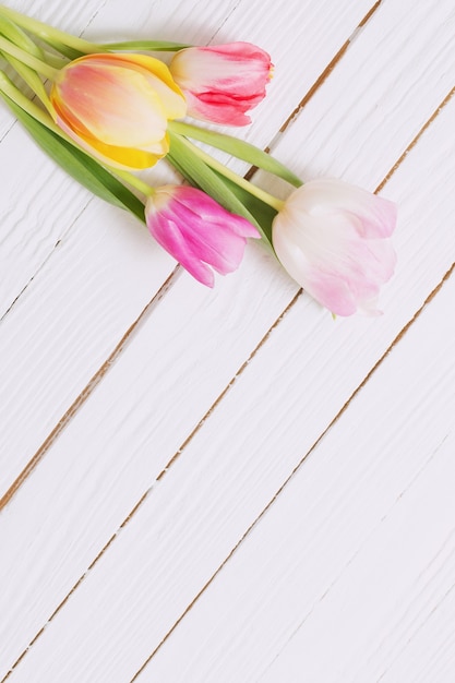 Beautiful tulips on white wooden