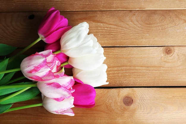 Beautiful tulips on wooden background