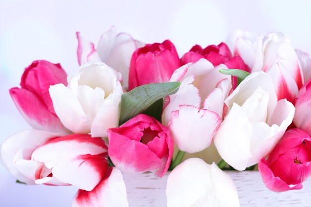 Beautiful tulips  in wooden box, on light background