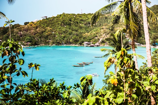 Beautiful turquoise bay in Koh tao Thailand