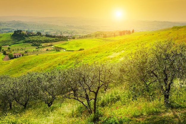 Красивый пейзаж Тосканы, провинция Чертальдо, Италия