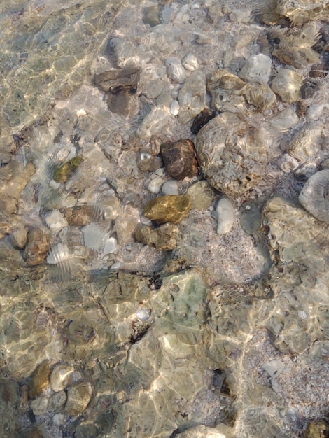 beautiful underwater landscape full with rock