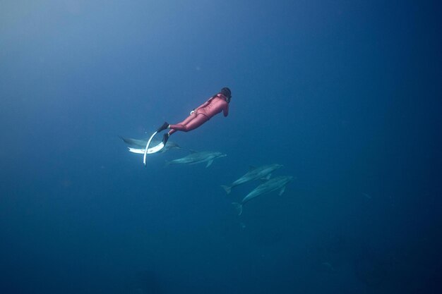 Photo beautiful underwater nature incredible colorful ocean life