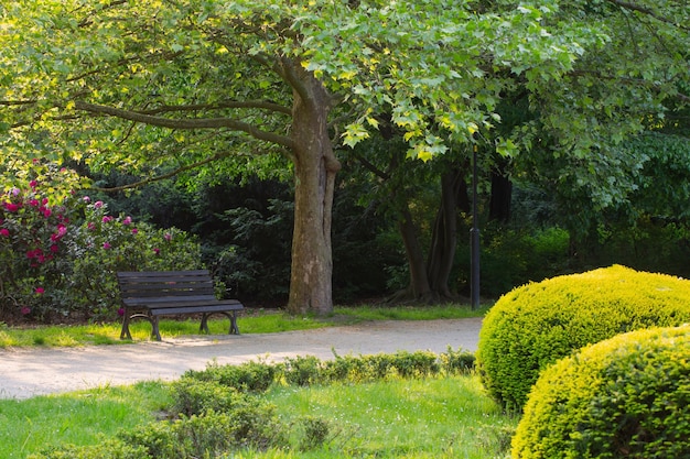 Beautiful urban summer park in sunlight