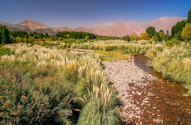 Beautiful Uspallata river valley