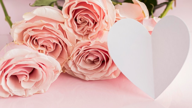 사진 장미와 아름 다운 발렌타인 개념