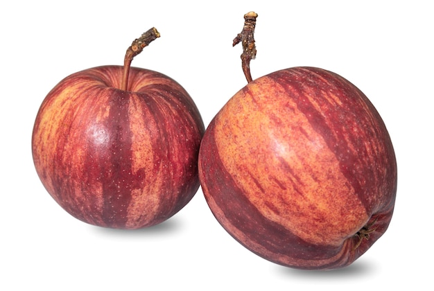 Beautiful variegated apples isolated on white background Fruits and vegetables