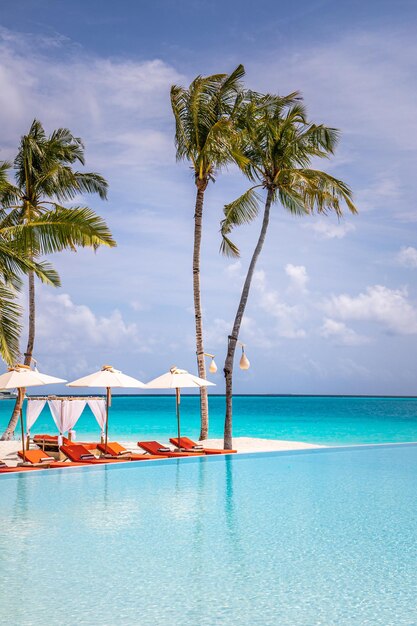 Beautiful vertical beach pool panorama. Palm trees, beach chairs beds with relaxing reflection