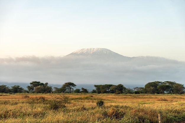 아프리카 사바나와 킬리만자로 화산의 아름다운 풍경 보셀리의 킬리먼자로 산 꼭대기에 있는 눈