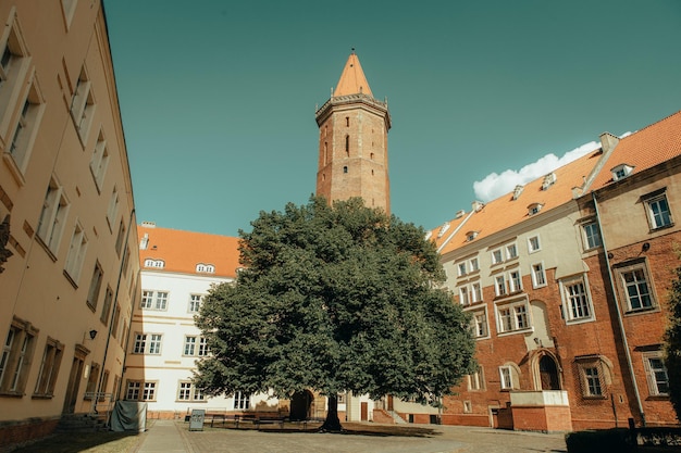 beautiful view of the ancient castle with a tower and the courtyard