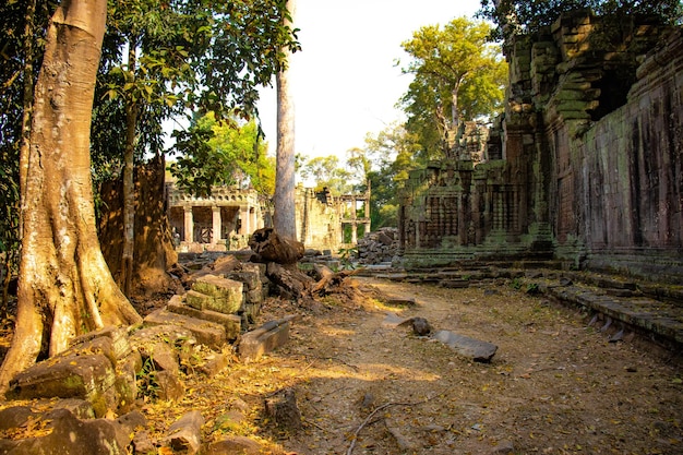 A beautiful view of Angkor Wat Temple located in Siem Reap Cambodia