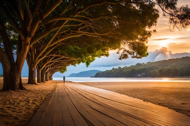 Foto bellissima vista in australia