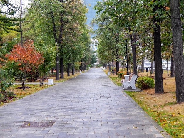 Beautiful view of the autumn park