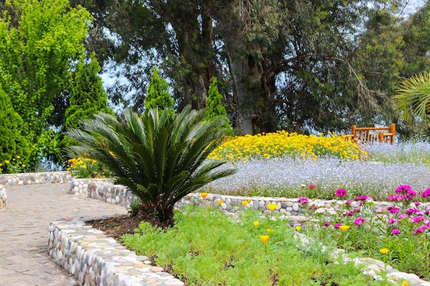 Foto splendida vista sul giardino botanico di batumi, georgia