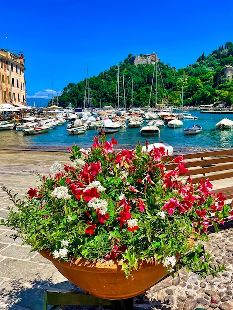 Beautiful view of the bay in Portofino, bright flowers in the foreground