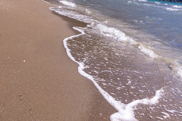 Beautiful view of a beach near the Iztuzu Beach in Dalyan, Mugla, Turkey