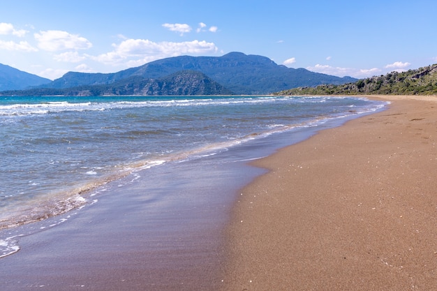 터키 무글라 달얀(Dalyan)에 있는 이즈투주(Iztuzu) 해변 근처 해변의 아름다운 전망