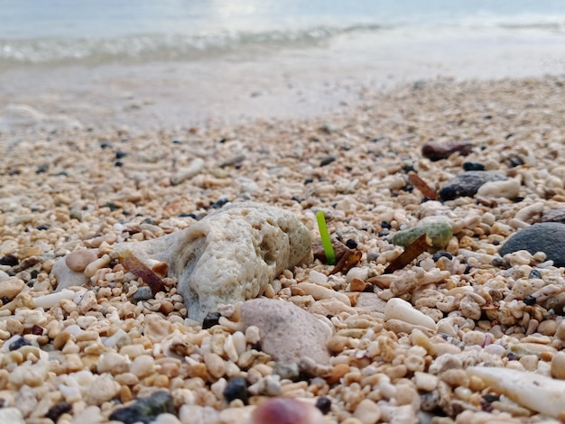 Beautiful View of Beach