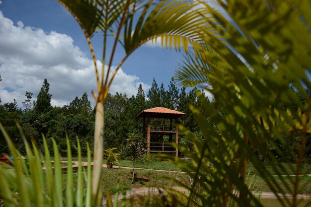 A beautiful view of botanical garden located in Brasilia Brazil