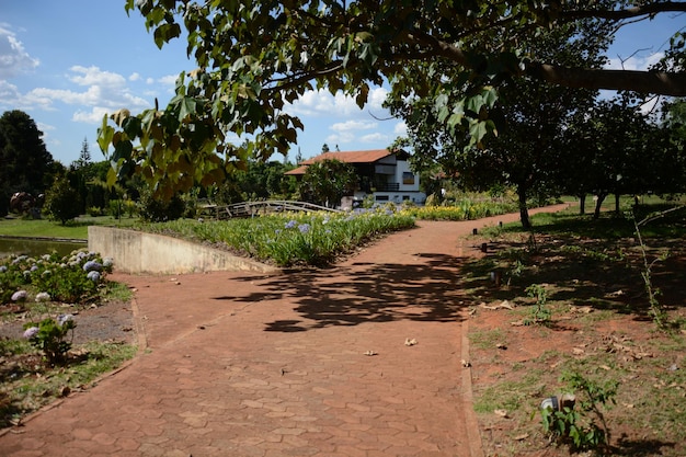 ブラジルのブラジリアにある植物園の美しい景色