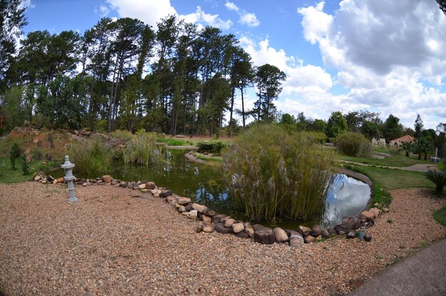 A beautiful view of botanical garden located in Brasilia Brazil