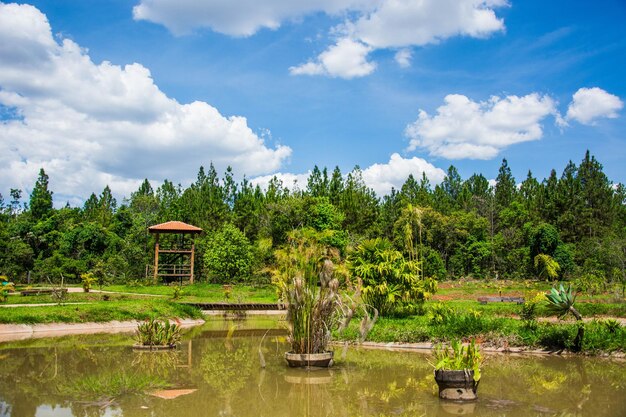 A beautiful view of botanical garden located in Brasilia Brazil