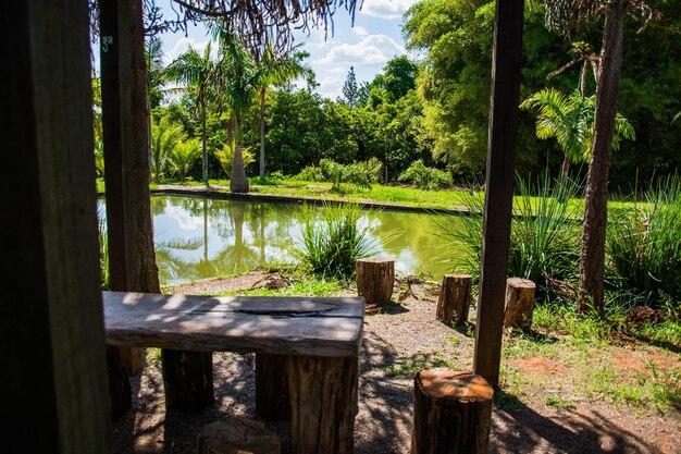 ブラジルのブラジリアにある植物園の美しい景色