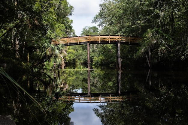 Beautiful view of the bridge at Hillsborough River State Park, Florida, USA