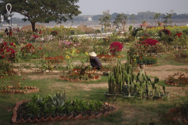 A beautiful view of Buddha Park located in Vientiane Laos