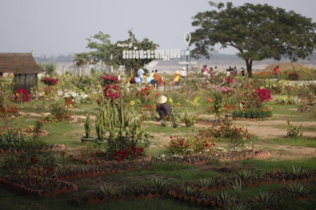 A beautiful view of Buddha Park located in Vientiane Laos