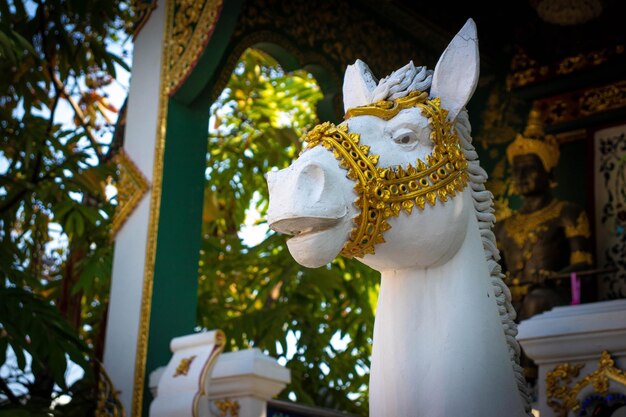 A beautiful view of buddhist temple located in Chiang Rai Thailand