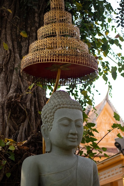 A beautiful view of buddhist temple located in Siem Reap Cambodia