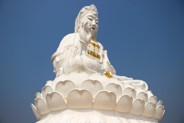 A beautiful view of buddhist temple Wat Huai Pla Kang located in Chiang Rai Thailand