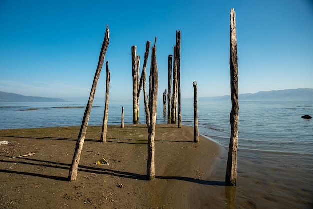 Photo beautiful view by the beach , wooden pier ruins by the lake , global warming reality