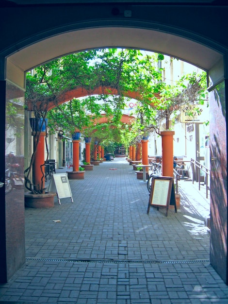 Beautiful view of cafe in Lodz with plants and arches Beautiful landscape design Lodz cafe Beautiful street view in city arch View seen from arch in Lodz