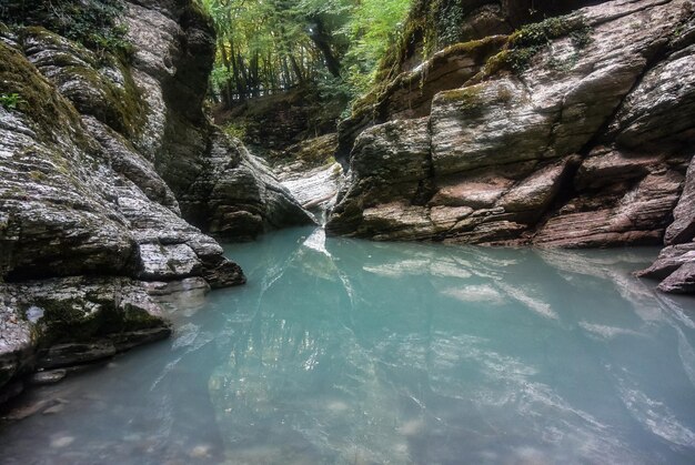 Beautiful view of the canyon Psaho in Sochi in the Krasnodar region Russia