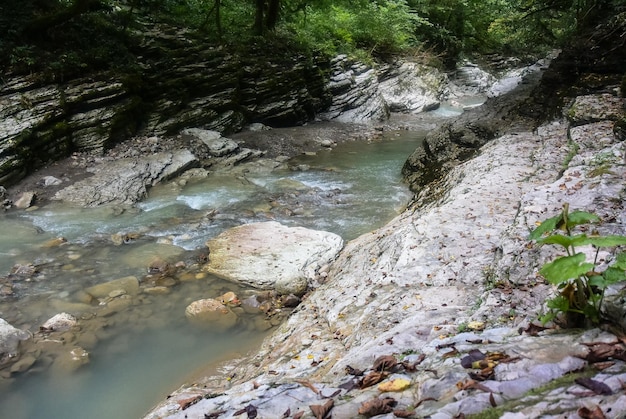 Beautiful view of the canyon Psaho in Sochi in the Krasnodar region Russia