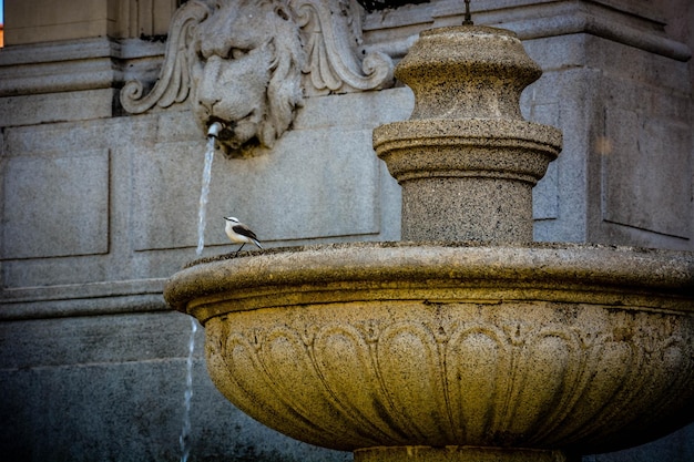 A beautiful view of Catavento Museum located in Sao Paulo Brazil