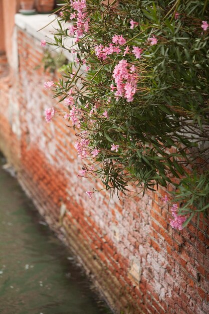 イタリア ヴェンティア の 水辺 の 都市 の 美しい 景色