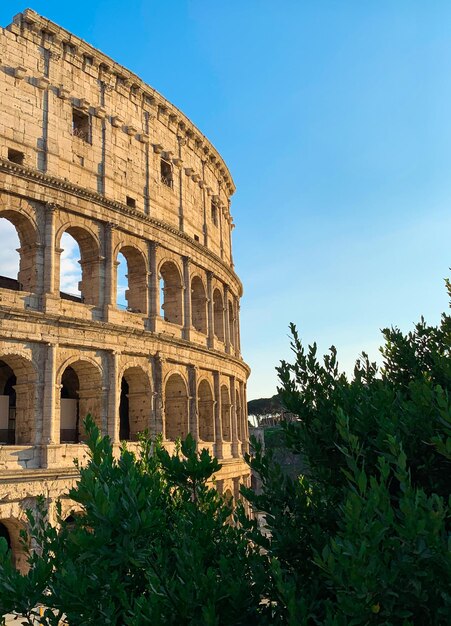 Beautiful view of the Colosseum at sunset with green plants and blue sky, Rome, Italy.