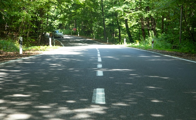 田舎道の美しい景色